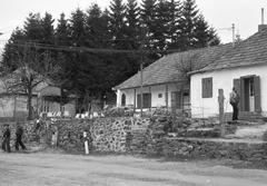 Magyarország, 1976, Gazda Anikó, Fortepan #307964