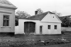 Hungary, 1973, Gazda Anikó, Fortepan #307975