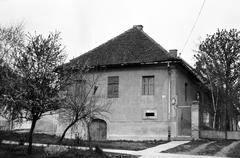 Magyarország, 1966, Gazda Anikó, Fortepan #307980