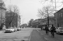 Magyarország, 1978, Gazda Anikó, Fortepan #307981