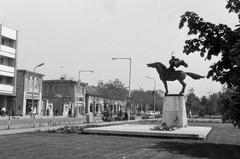 Magyarország, 1978, Gazda Anikó, Fortepan #307983