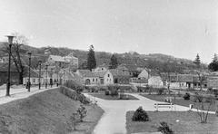 Magyarország, 1971, Gazda Anikó, Fortepan #307992