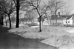 Magyarország, 1962, Gazda Anikó, Fortepan #307997