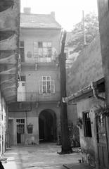 Magyarország, 1979, Gazda Anikó, Fortepan #308010