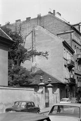 Magyarország, 1979, Gazda Anikó, Fortepan #308012