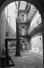 Magyarország, 1979, Gazda Anikó, Fortepan #308013