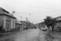 Magyarország, 1975, Gazda Anikó, Fortepan #308014