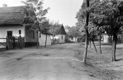 Magyarország, 1960, Gazda Anikó, Fortepan #308024