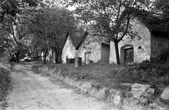 Magyarország, 1960, Gazda Anikó, Fortepan #308028