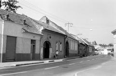 Hungary, 1973, Gazda Anikó, Fortepan #308033