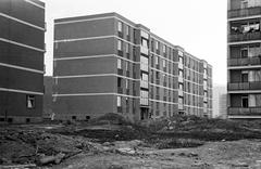 Hungary, 1965, Gazda Anikó, Fortepan #308038