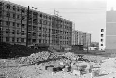 Hungary, 1965, Gazda Anikó, Fortepan #308040