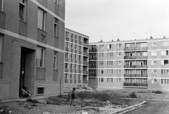 Hungary, 1965, Gazda Anikó, Fortepan #308042