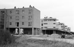 Hungary, 1965, Gazda Anikó, Fortepan #308047