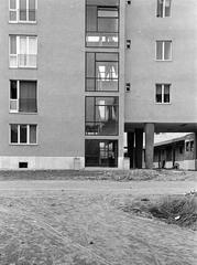 Hungary, 1965, Gazda Anikó, Fortepan #308048