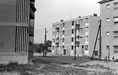 Hungary, 1965, Gazda Anikó, Fortepan #308050