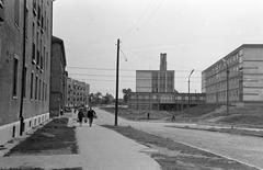 Hungary, 1965, Gazda Anikó, Fortepan #308053