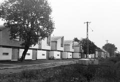 Magyarország, 1970, Gazda Anikó, Fortepan #308068