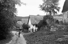 Hungary, 1968, Gazda Anikó, Fortepan #308070