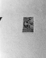 Magyarország, 1970, Gazda Anikó, Fortepan #308073