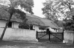 Magyarország, 1970, Gazda Anikó, Fortepan #308074