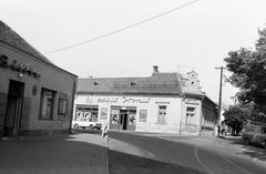 Hungary, 1974, Gazda Anikó, Fortepan #308077