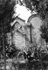 Hungary, 1974, Gazda Anikó, Fortepan #308082