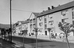 Hungary, 1965, Gazda Anikó, Fortepan #308087