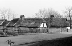 Magyarország, 1967, Gazda Anikó, Fortepan #308112