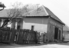 Magyarország, 1967, Gazda Anikó, Fortepan #308114