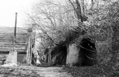 Magyarország, 1967, Gazda Anikó, Fortepan #308115