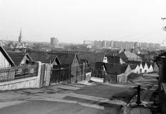 Magyarország, 1977, Gazda Anikó, Fortepan #308121