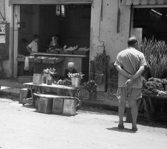 1962, Gazda Anikó, Fortepan #308122