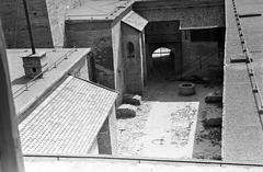 Hungary, 1961, Gazda Anikó, Fortepan #308127