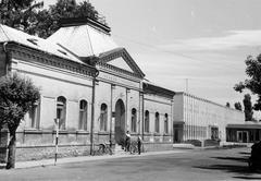 Magyarország, 1966, Gazda Anikó, Fortepan #308131