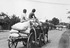 Magyarország, 1970, Gazda Anikó, Fortepan #308137