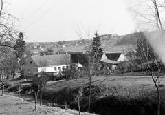 Hungary, 1965, Gazda Anikó, Fortepan #308149