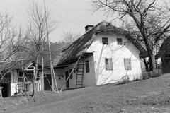 Hungary, 1965, Gazda Anikó, Fortepan #308150