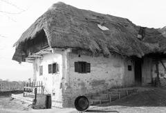 Hungary, 1965, Gazda Anikó, Fortepan #308153