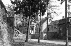 Magyarország, 1979, Gazda Anikó, Fortepan #308167