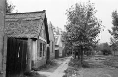 Magyarország, 1977, Gazda Anikó, Fortepan #308180