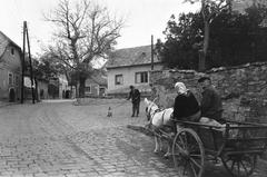Magyarország, 1963, Gazda Anikó, Best of, szamár, szekér, Fortepan #308191