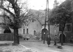 Magyarország, 1963, Gazda Anikó, Fortepan #308192