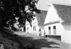 Magyarország, 1960, Gazda Anikó, Fortepan #308203