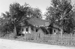 Magyarország, 1960, Gazda Anikó, Fortepan #308217