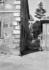 Magyarország, 1960, Gazda Anikó, Fortepan #308220