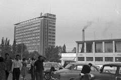 1963, Gazda Anikó, Fortepan #308242