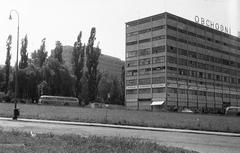 1963, Gazda Anikó, Fortepan #308243