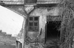 Magyarország, 1963, Gazda Anikó, Fortepan #308255