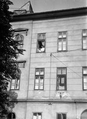 Magyarország, 1963, Gazda Anikó, Fortepan #308262